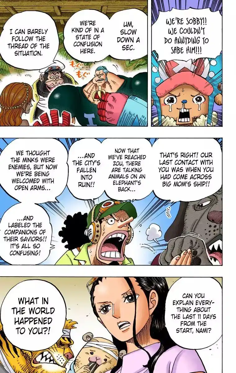 One Piece - Digital Colored Comics Chapter 807 12